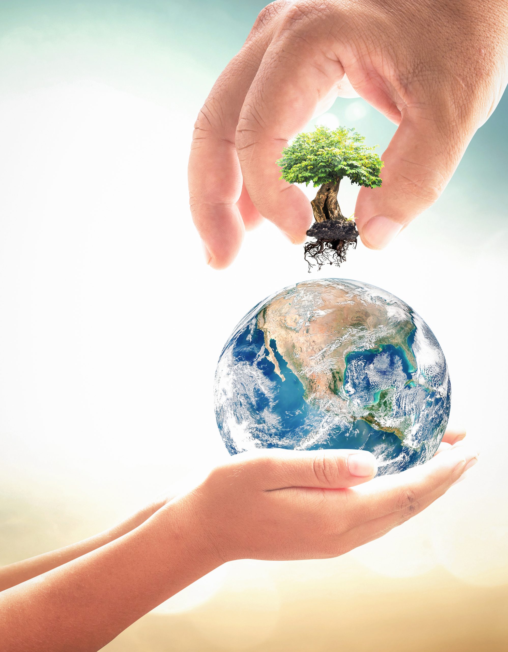 World environment day concept: Two human hands holding earth globe and big tree over blurred nature background. Elements of this image furnished by NASA